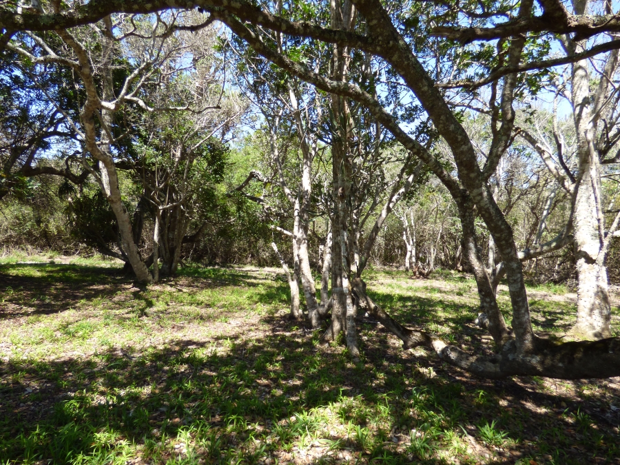 0 Bedroom Property for Sale in Kleinemonde Eastern Cape